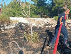 Hatay’daki orman yangını söndürüldü