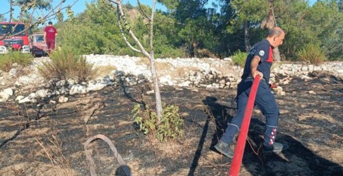 Hatay’daki orman yangını söndürüldü