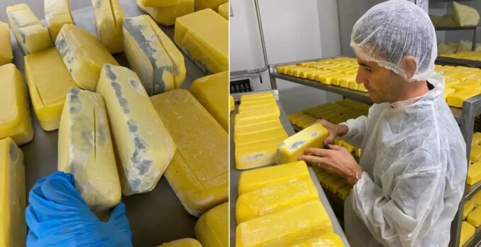 Hepsini vatandaşa yedireceklerdi! Mide bulandıran manzara, tam 1,5 ton