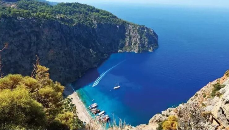 İktidara zeytinlikler yetmedi, sıra sit alanlarına geldi