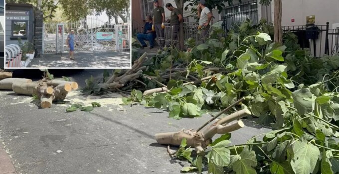 İstanbul’da fırtına alarmı! Ağaçlar devrildi, Gülhane Parkı kapatıldı