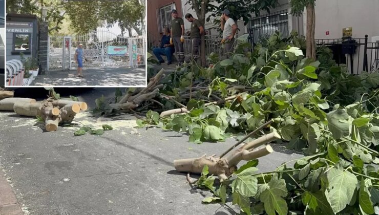 İstanbul’da fırtına alarmı! Ağaçlar devrildi, Gülhane Parkı kapatıldı