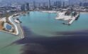 İzmir Körfezi’nde balık ölümleri yeniden başladı