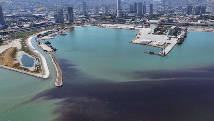 İzmir Körfezi’nde balık ölümleri yeniden başladı