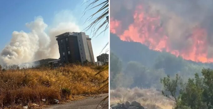 İzmir’in Buca ve Aliağa ilçelerinde orman yangını