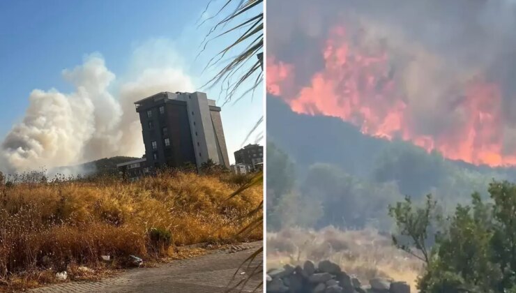 İzmir’in Buca ve Aliağa ilçelerinde orman yangını