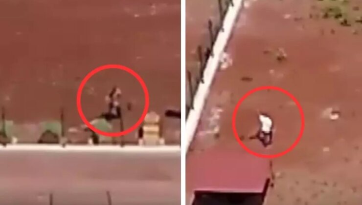 Kars’taki köpeklere şiddet görüntülerine jet soruşturma