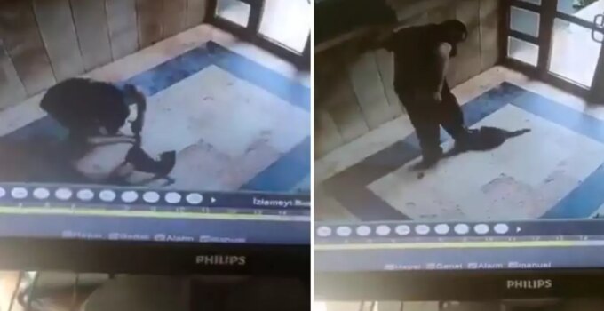 Kediyi vahşice öldüren caninin ifadesi ortaya çıktı: Onu can düşmanım gibi gördüm