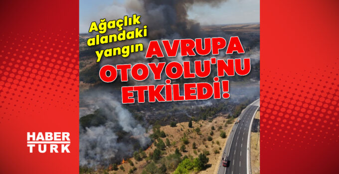 Kırklareli’nde ağaçlık alanda yangın! Kapatılan Avrupa Otoyolu açıldı