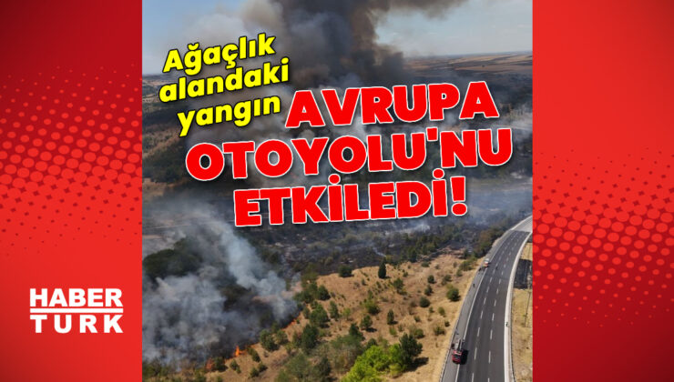 Kırklareli’nde ağaçlık alanda yangın! Kapatılan Avrupa Otoyolu açıldı