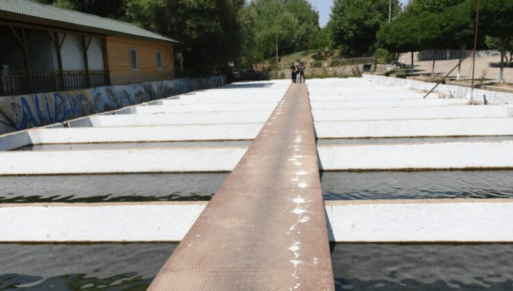 Malatya'da alabalık tesisi sayısı artıyor