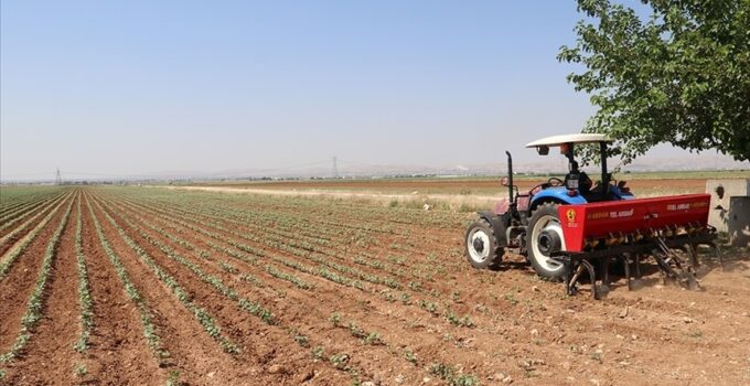 Manisa Büyükşehir Belediyesi’nden üreticiye destek