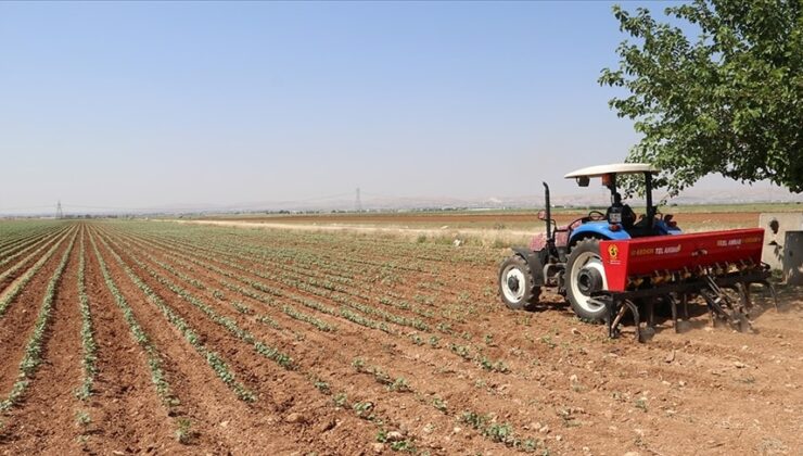 Manisa Büyükşehir Belediyesi’nden üreticiye destek