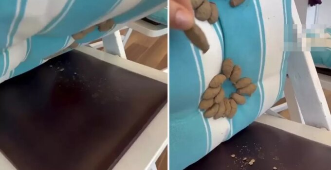 Minderini kaldıran kadın, dehşet verici manzarayla karşılaştı