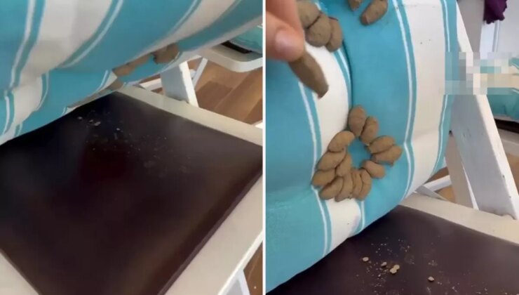 Minderini kaldıran kadın, dehşet verici manzarayla karşılaştı