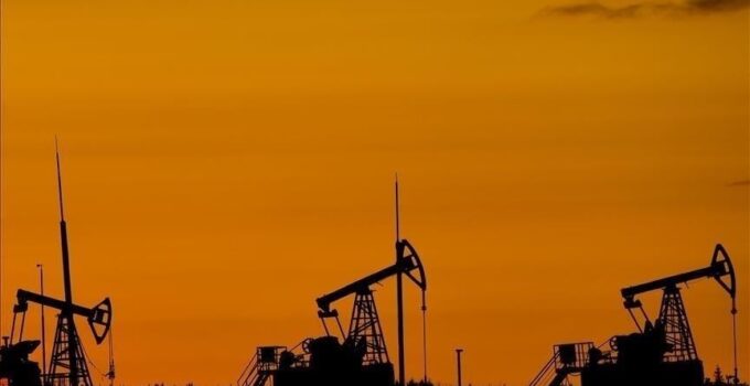 OPEC'in ham petrol üretimi temmuzda arttı