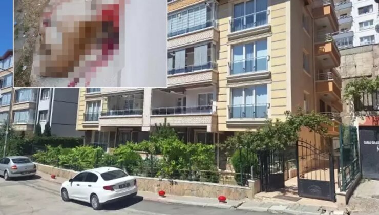 Polis memuru sokak köpeğini vurarak öldürdü