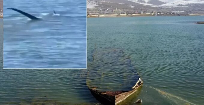 "Van Gölü canavarı" tartışmalarını alevlendirecek yeni görüntü