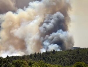 Sakarya’da günlerce yanan ormanlık alanda erkek cesedi bulundu