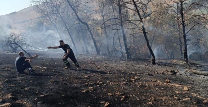 Şanlıurfa’da orman yangını çıktı