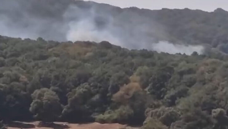 Sarıyer’de ormanda Sarıyer’de ormanlık alanda çıkan yangına müdahale ediliyor