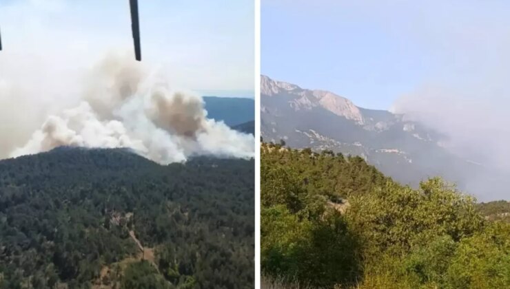 Sinop’ta orman yangını! Bir köy tahliye edildi