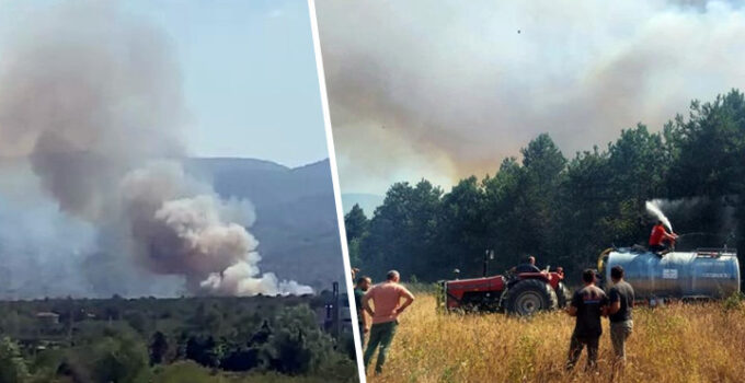 Son dakika… Sakarya’da orman yangını: Çok sayıda ekip sevk edildi