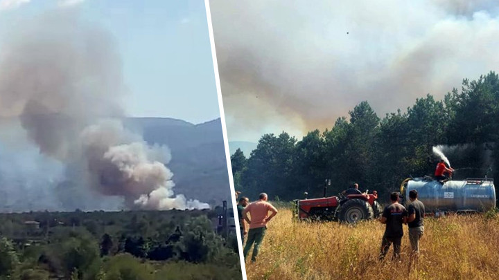 Son dakika… Sakarya’da orman yangını: Çok sayıda ekip sevk edildi