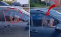Sürücüdeki rahatlığa bak! Trafikte akılalmaz görüntüler