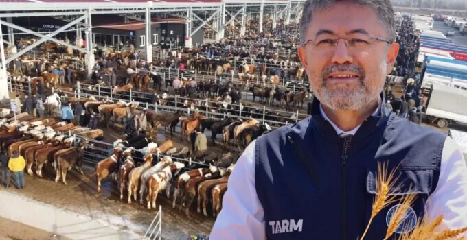 Tarım ve Orman Bakanı Yumaklı: Şap büyük oranda baskılandı, 8 ilde hayvan pazarları açılacak
