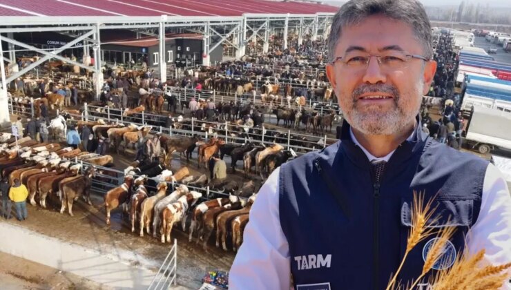 Tarım ve Orman Bakanı Yumaklı: Şap büyük oranda baskılandı, 8 ilde hayvan pazarları açılacak