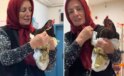 Tavuğunu devlet hastanesine götürdü, personelin cevabıyla hayal kırıklığına uğradı