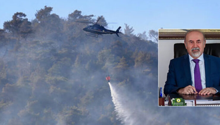 Türkiye Ormancılar Derneği Başkanı Ahmet Hüsrev Özkara: Orman yangınları neden pik yaptı?