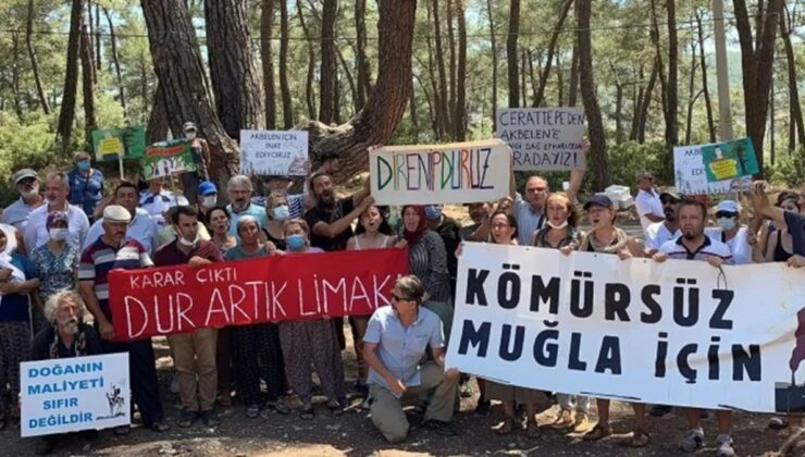 Zeytinde skandal karar
