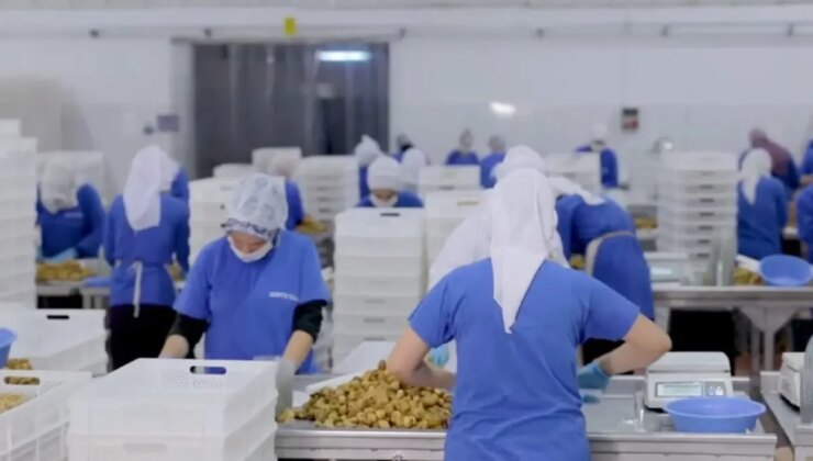 14 ülkeye ihracat yapan Türk gıda devi konkordato ilan etti