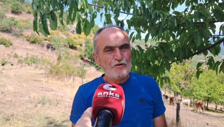 Ardanuçlu besici Bozkurt: Hayvancılığı bırakma noktasına geldik