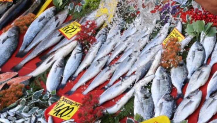 Balık tezgahları doldu: Hamsi 300, sardalya 400, çipura 600 TL