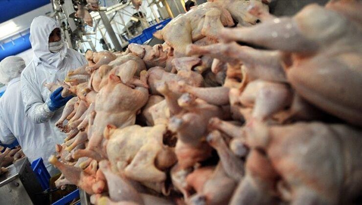 Beyaz et üreticilerinden 'fiyat artışı' ile ilgili karşılaştırma: ABD'de 3 dolar, Almanya'da 5,5 euro