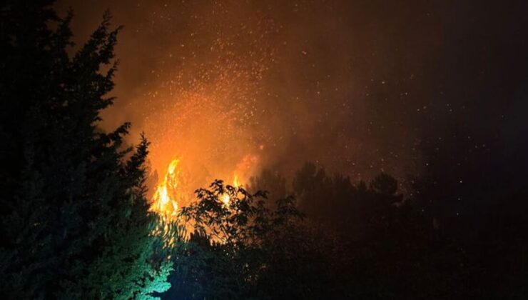 Beykoz’da orman yangını