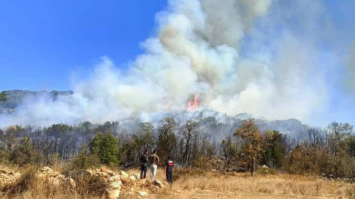 Burdur’da orman yangını: Müdahale ediliyor