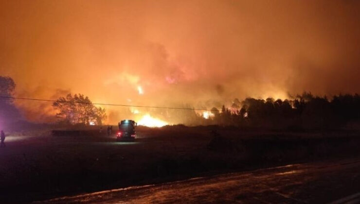 Bursa’da korkutan orman yangını, rüzgarın etkisiyle büyüdü… Müdahale sürüyor