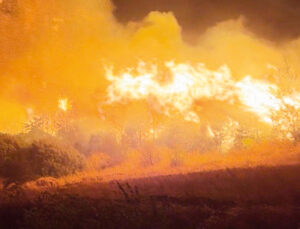 Bursa’da orman yangını… Alevler evlere dayandı