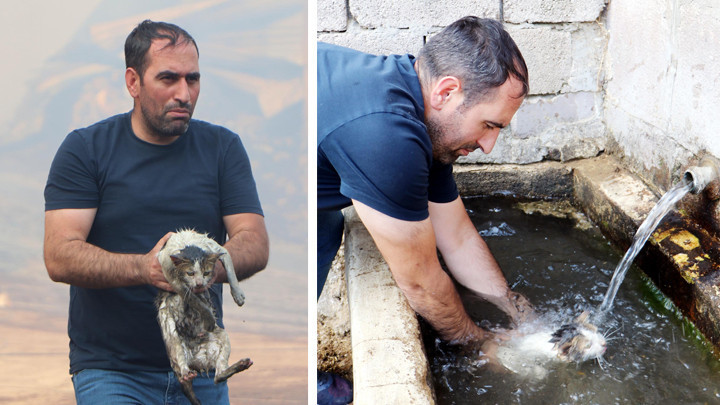 Erzurum’da alevlerin arasına girip mahsur kalan kediyi kurtardı! ‘Dumanların arasında çaresizce beklediğini gördüm’