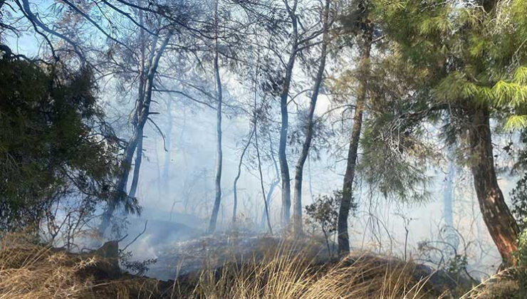 Manavgat’ta tarım arazisinde başlayan yangın ormanlık alana sıçradı