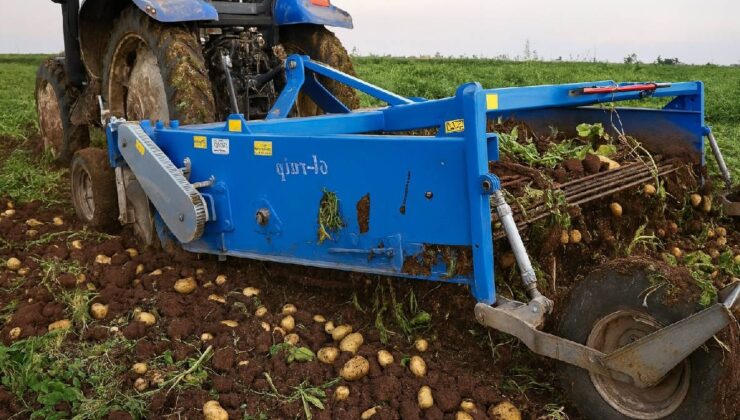 Patatesten soğana, limondan bal kabağına üretim yapan 40 yıllık gıda devi iflasın eşiğinde