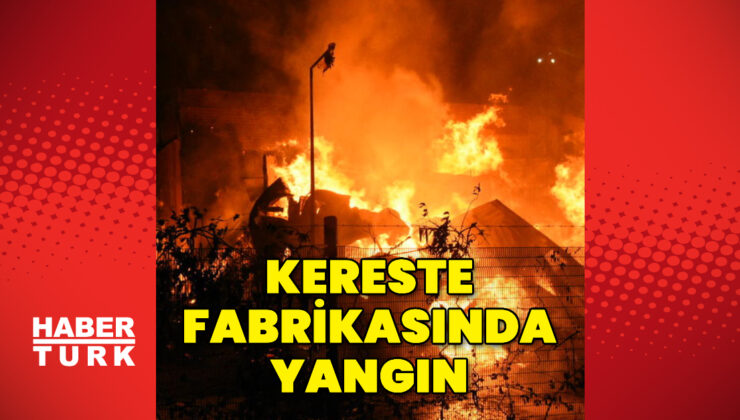 Samsun’da kereste fabrikasında yangın çıktı