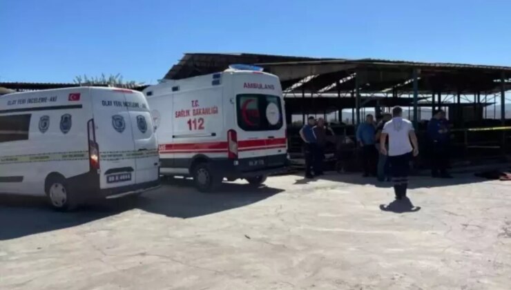 Süt kamyonunun altında kalan 3 yaşındaki çocuk hayatını kaybetti