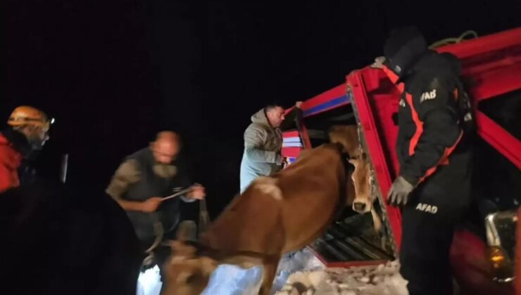 Yaylada içinde 15 kişi olan araçların üzerine çığ düştü