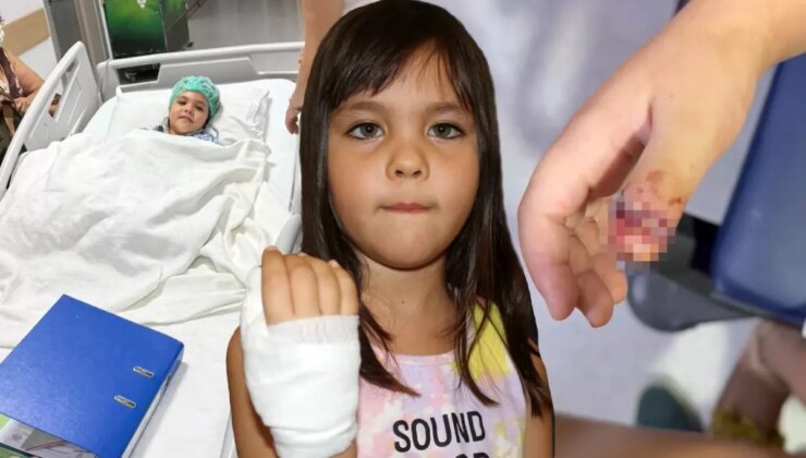 Anaokulunda ihmal! 4 yaşındaki Mavi’nin parmağı demir kapıya sıkışıp koptu