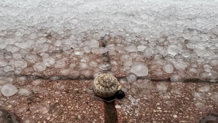 Antalya’yı sağanak ve dolu vurdu: Ağaçlar devrildi, yolları su bastı